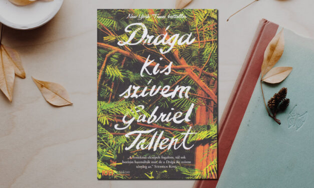 Gabriel Tallent – Drága kis szívem